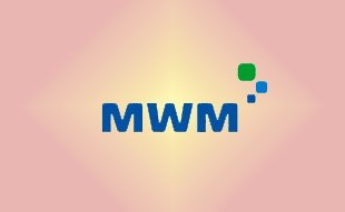 ✓ MWM 0335 7887 Запчасть MWM 